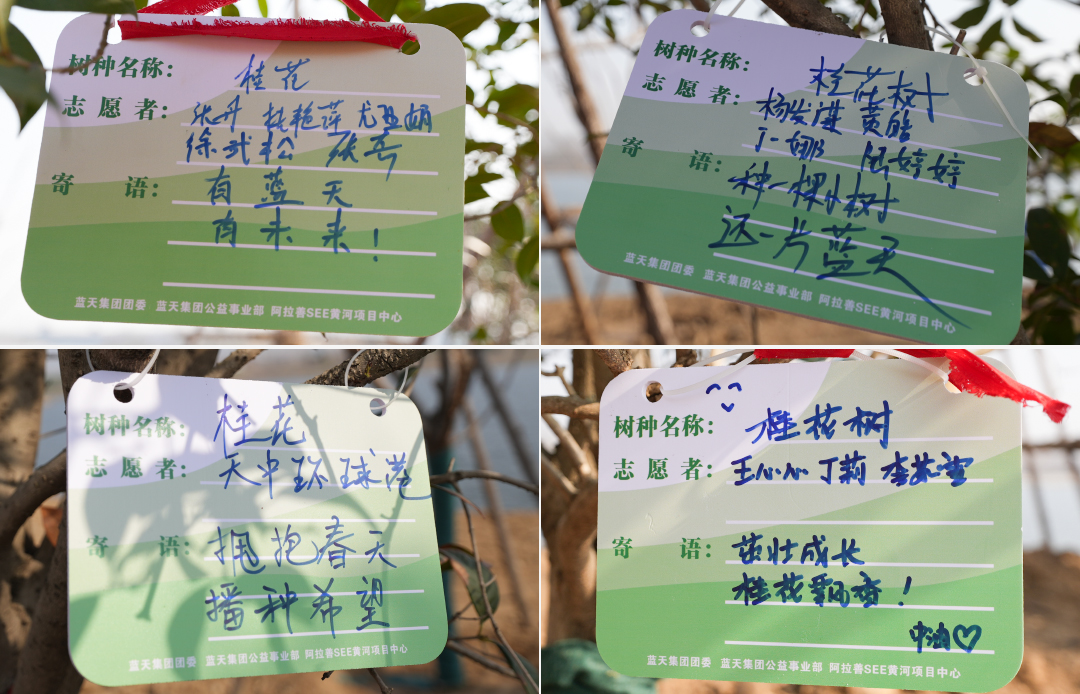 1710301771586011.jpg 牌子.jpg